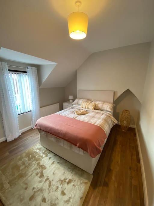 The Cozy Homestay Belfast Exterior foto