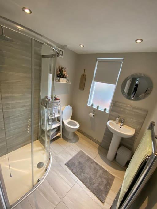The Cozy Homestay Belfast Exterior foto